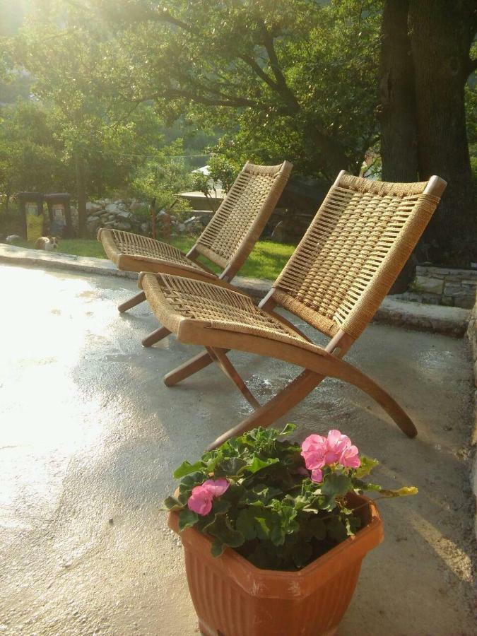 Holiday Homes Mirjana Moscenicka Draga Bagian luar foto